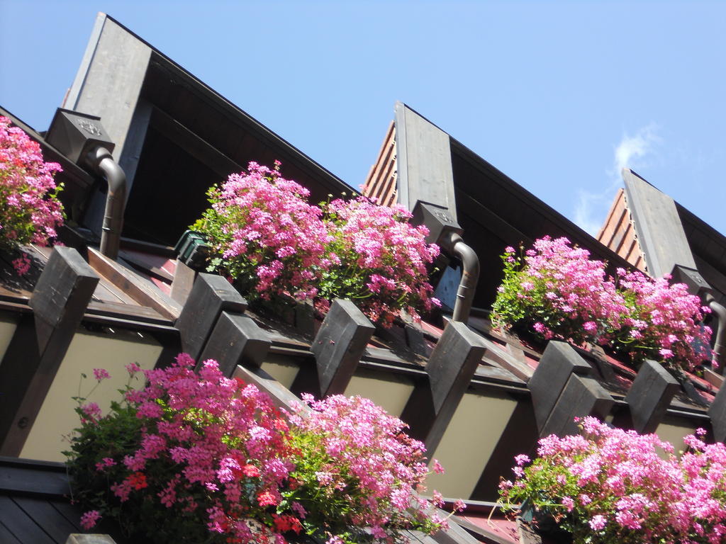 B&B Garni Villa Campitello กัมปีเตลโลดีฟัสซา ภายนอก รูปภาพ