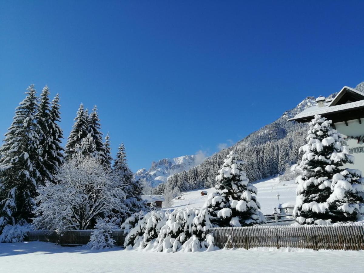 B&B Garni Villa Campitello กัมปีเตลโลดีฟัสซา ภายนอก รูปภาพ